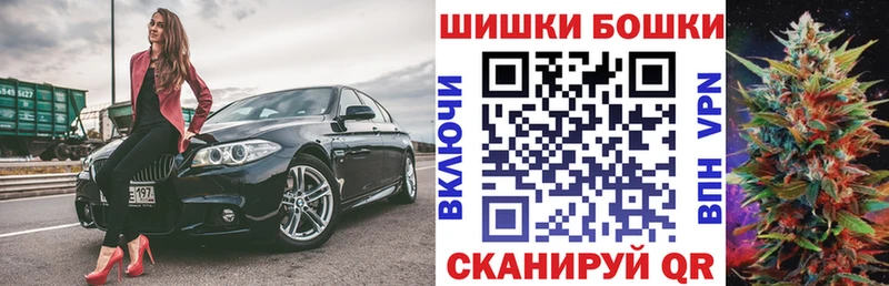 Бошки Шишки планчик Новотитаровская